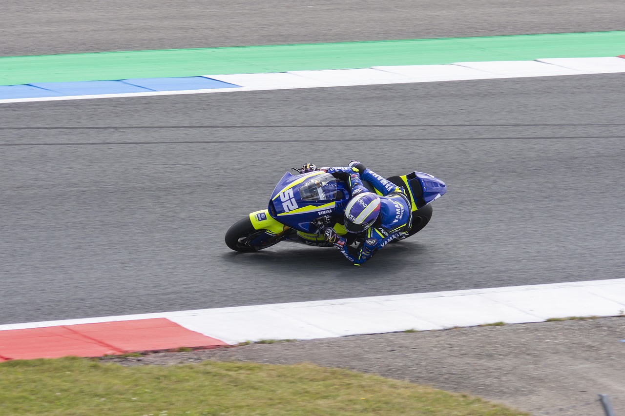 灰熊的稳定 灰熊的稳定