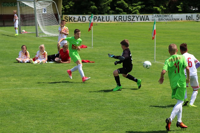 许多改革 许多改革